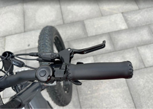 Moteur central 1000W 48V, Nouveau, Vente directe usine, Prix bas (Personnalisation possible), Vélo de montagne cruiser phare à freins à disque hydrauliques - Product Image 3