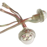 Module d'ampoule LED Kermis Lichten RGB Forain 26mm à points de lumière à bulles, étanche IP66 pour manèges et éclairage paysager