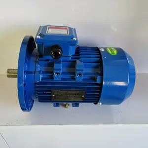 공장 도매 YE2 시리즈 1HP 0.75KW 모터 삼상 1500rpm 3000rpm 220V 2HP 3HP 5HP 7.5HP 10HP 전동기