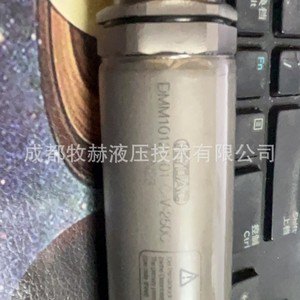 วาล์วควบคุมทิศทางไฮดรอลิก Hydac รุ่น DMM10121-01-C-V-250C แรงดัน 250 บาร์ อัตราการไหล 250 ลิตร/นาที วาล์วไฮดรอลิกสองทาง - Product Image 4