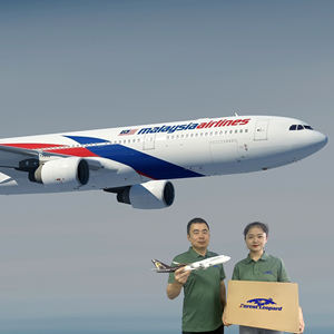 DDP/ DDU агент доставки FBA экспедитор из Китая в Дубай, ОАЭ, США, Италия, Франция, Германия, от двери до двери, служба доставки - Product Image 6