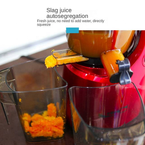 Nouveauté, extracteur de jus lent commercial multifonction à grande ouverture, à double engrenage électrique, à nettoyage automatique, moteur CC, OEM 65 VDE - Product Image 6