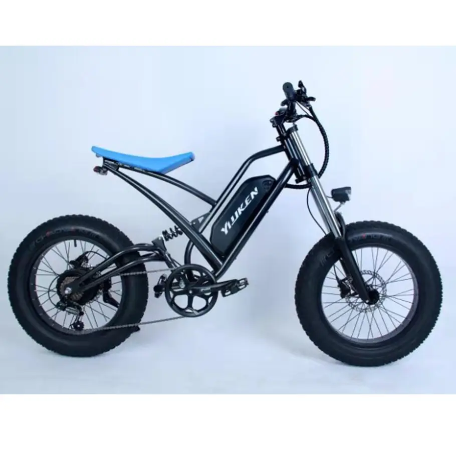 2021高品質20 ''* 4.0'' ファットタイヤ750w自転車電動自転車変換キット電動ドリフトトライク電動自転車大人