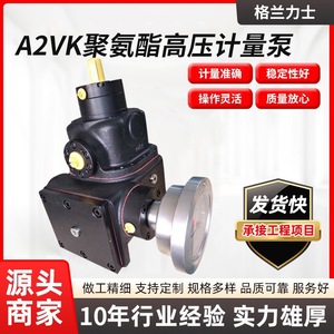 Bomba de Pistón Hidráulica Granex A2VK12 28 55 107, Bomba Dosificadora de Poliuretano de Alta Presión, Reemplazo para Rexroth - Product Image 5