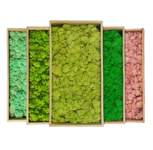 Panneau mural personnalisé en mousse de renne blanche, mousse naturelle stabilisée et préservée, pour la maison, mariage, fête des mères, Saint-Valentin, Pâques - Product Image 6