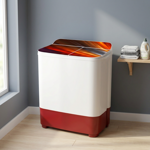 Lave-linge semi-automatique à deux cuves avec fonctions de lavage et d'essorage séparées pour un nettoyage domestique efficace - Product Image 1