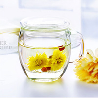 Tasse en verre transparente faite à la main en borosilicate de haute qualité, résistante à la chaleur, 500 ml/17 oz, avec infuseur pour café et thé