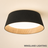 Plafonnier Minimaliste Moderne à LED Individuel avec Éclat Premium pour Chambre Principale, Bureau et Maison Sophistiquée