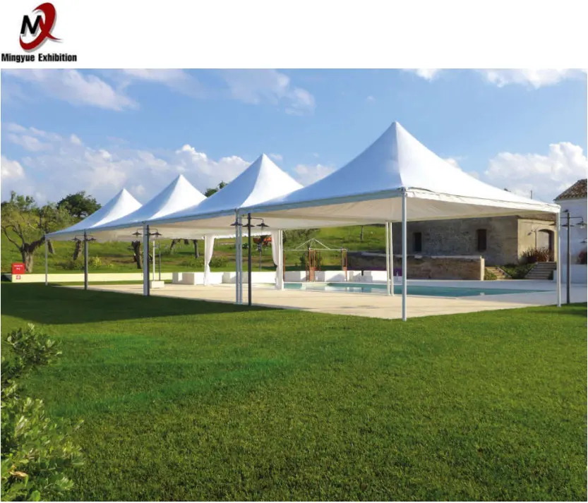 Harga Pabrik 3X3M Pagoda Tenda Kanopi dengan Pvc Tahan Air Gazebo Bahan untuk Taman Naungan Acara Matahari dan hujan Melindungi untuk Dijual