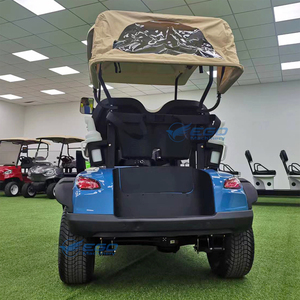 Carrito de Golf Eléctrico Personalizable de 2 Plazas con GPS, Batería de 48V, Certificado Dot Ce, Disponible para la Venta - Product Image 3