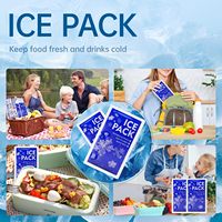 Pack de glace sèche en gel pour glacière alimentaire jetable en plastique personnalisable avec logo, feuille de congélation avec logo pour boîte à lunch