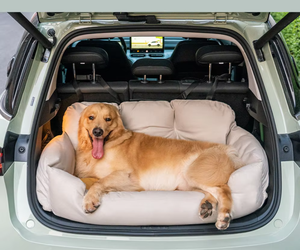 New Nesign Travel Polster Sicherheit Großer Hund Autos itz Bett Luxus Hunde betten Wasserdichter wasch barer Haustier Rücksitz - Product Image 3