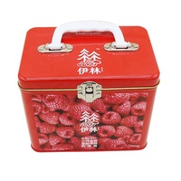 Boîte à biscuits et bonbons de qualité alimentaire avec poignée, accessoires, emballage en étain, boîte à pique-nique, emballage en étain