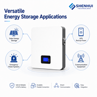 Batterie domestique 5,12 kWh 51,2 V 100 Ah LiFePO4, batterie de stockage d'énergie au lithium pour système de stockage d'énergie solaire hybride à micro-onduleur