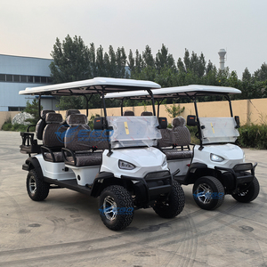 Carrito de Golf Eléctrico Blanco Popular de 48v para 6 Pasajeros, Buggy de Golf para Turismo Todoterreno en Oferta - Product Image 3