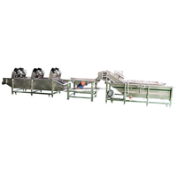 Industriële 304 roestvrijstalen volautomatische energiebesparende bananen-appel-bubbelreinigingsmachine voor fruit, groenten, maïs en tarwe