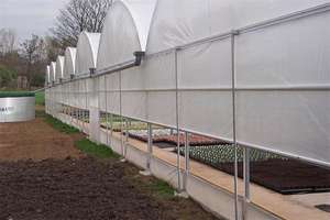 Invernadero Agrícola de Plástico PE de Gran Tamaño y Múltiples Tramos, con Control Automático, de Fabricación Profesional, con una Vida Útil de 10 a 15 Años - Product Image 5