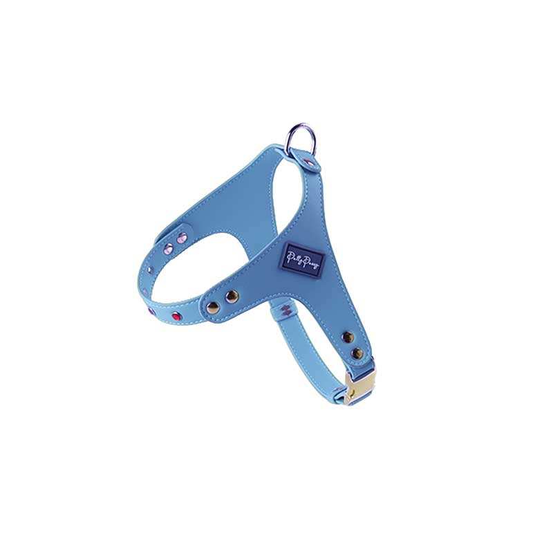 Blue Harness