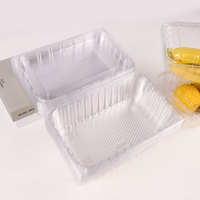 Contenitore con Coperchio a Cerniera Trasparente per Alimenti, Scatola Monouso in PET PP per Imballaggio di Frutta, Torte e Insalate