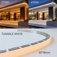 Lampu Strip LED Neon Fleksibel CCT Tunable IP68 Tahan Hujan Luar Ruangan 24V USB untuk Villa, Gedung, Taman, Menara Pencakar Langit