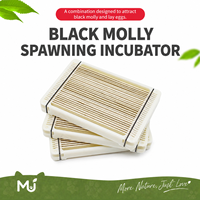 En gros, Dispositif de ponte pour mouches soldat noires (BSF), Incubateur de collecte d'œufs, Planche d'élevage en plastique, Cage pour petits animaux