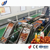 Ligne de traitement complète personnalisée pour jus de mangue, d'orange et de pomme 5000-10000 L/H