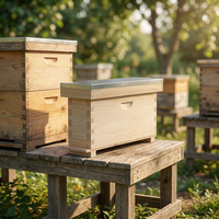Premium-Kiefern-2-Rahmen-Königinnen-Aufzuchtbox – Robuster, 18-20 mm dicker Bienenzuchtkasten für professionelle Bienenstöcke