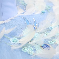 T0202 Tutu de ballet professionnel Blue Bird, costumes de ballerine, tutu de danse classique, robe de danse solo, tutus classiques