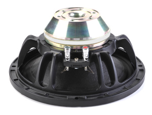 OEM ODM W10-Woofer 16N de 10 pulgadas, bobina de voz de 5,6mm, imán de neodimio, potencia de 30W, construido para instalaciones de audio de alta gama - Product Image 5