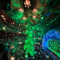 Décoration de scène de théâtre gonflable personnalisée, plantes vertes géantes gonflables pour le plafond, vignes pour pantomimes, Jack et la tige de soja