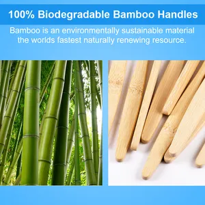 ホテル旅行用天然竹歯ブラシ竹木製ケース100% 生分解性木炭歯ブラシ大人BPAフリー