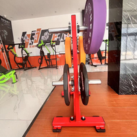 Équipement de fitness commercial de haute qualité en gros, support de rangement, accessoires de salle de sport, support de rangement pour plaques de poids, machine de rangement de poids de luxe