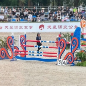 <span class=keywords><strong>Ostacoli</strong></span> personalizzabili e durevoli per lo spettacolo equestre di <span class=keywords><strong>salto</strong></span> di alta qualità per allenamento di cavalli pali in alluminio per cavalli
