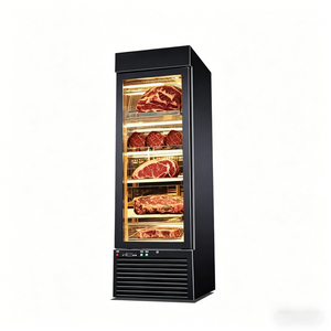 Refrigerador de Una Puerta para Maduración en Seco de Carne de Res |   Refrigerador de Curación de Carne con Control Digital, Gabinete de Enfriamiento Ventilado para Fermentación de Filetes - Product Image 2