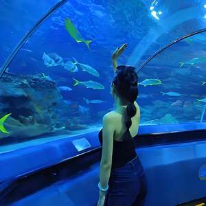 Feuille acrylique à haute transmission pour une visualisation <span class=keywords><strong>sous</strong></span>-marine vibrante et claire dans <span class=keywords><strong>les</strong></span> aquariums - Product Image 3