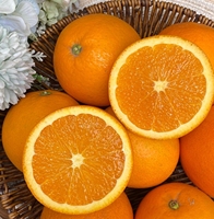 Gedroogde sinaasappelschijfjes, gedroogd fruit, knapperig, zoet, gesneden voor thee, bakken en voedselingrediënten