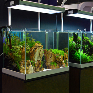 Meest Populaire Modieuze Acryl Aquarium Aquarium Geïmporteerd - Product Image 3