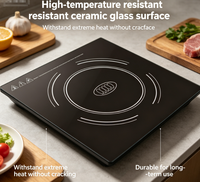 Plaque de cuisson en verre céramique noir, résistante aux hautes températures, panneau de remplacement pour cuisinières à induction et électriques