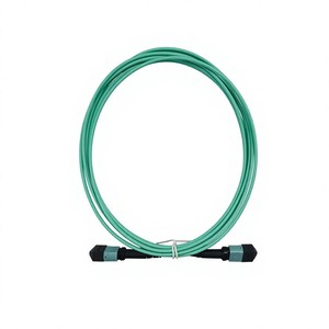 <span class=keywords><strong>สาย</strong></span>เคเบิลใยแก้วนำแสง MPO ระดับพรีเมียม พร้อมสายแพทช์คอร์ดแบบมัลติโหมด OM3 24 คอร์ <span class=keywords><strong>50</strong></span>/125 - Product Image 3
