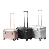 Valise en aluminium de 20 pouces, valise de capitaine de ligne aérienne, serrure à code TSA, étanche, antivol, minimaliste, valise de voyage, classe affaires