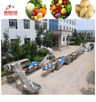 Automatische Bevroren Fruit En Groente Productielijn Fruit Wasdrooglijn/Bevroren Groenteverwerkingslijn