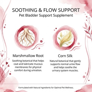 Integratore OEM per la Salute del Tratto Urinario di <span class=keywords><strong>Cani</strong></span> e Gatti, Capsule per la Difesa della Vescica, Formula Veterinaria con Etichetta Privata - Product Image 3