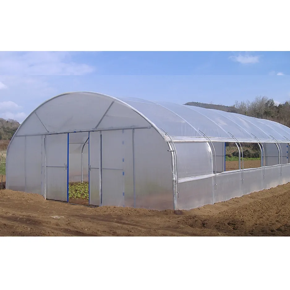 Serre arceau agricole 20-100m Serre commerciale économique Tunnel film plastique pour tomates