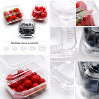 Boîte d'emballage pour fruits en PET transparent |   Conteneur en plastique transparent de qualité alimentaire, taille et logo personnalisés, vente en gros