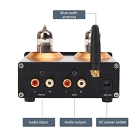 Tube électronique 6J5 Amplificateur Hi-Fi QCC3034 Bluetooth 5.1 Modulation haute et basse fréquence Fro.nt Gallbladder Fro.nt Stage