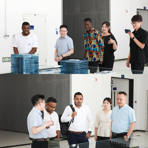 <span class=keywords><strong>Medidor</strong></span> <span class=keywords><strong>de</strong></span> Oxígeno Disuelto Portátil Profesional BIOBASE con <span class=keywords><strong>Precio</strong></span> Competitivo para Laboratorio - Product Image 6