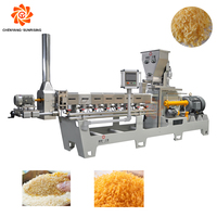 Ligne de production automatique Extrudeuse 200-500 kg/h Panko Breadcrumb Breadcrumb Making Extruder Machine