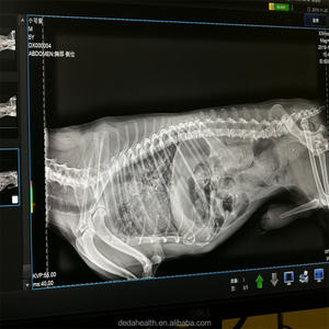 جهاز الأشعة السينية الطبي الذكي DMXR12 رخيص السعر مزود بمصباح فوقي 20 كيلووات للأطباء البيطريين - Product Image 4