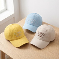 Gorra de Béisbol Coreana Personalizada al por Mayor, con Apliques de Gato y Perro, Estilo Y2K, Bordado, 100% Algodón, Transpirable, Ajustable, Unisex