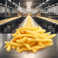 Machine à Frites Semi-Automatique à Commande Manuelle – Idéale pour Petites Entreprises – Choix Économique – Formation Incluse – Ligne de Production de Frites